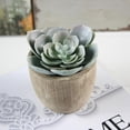 thumbnail image 2 of 1 Uds plantas decorativas, 2 of 3