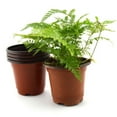 thumbnail image 1 of Flmtop 10 Pcs Petits Pots de Fleurs Ronds en Plastique Terracotta Jardinière Décoration Maison, 1 of 8