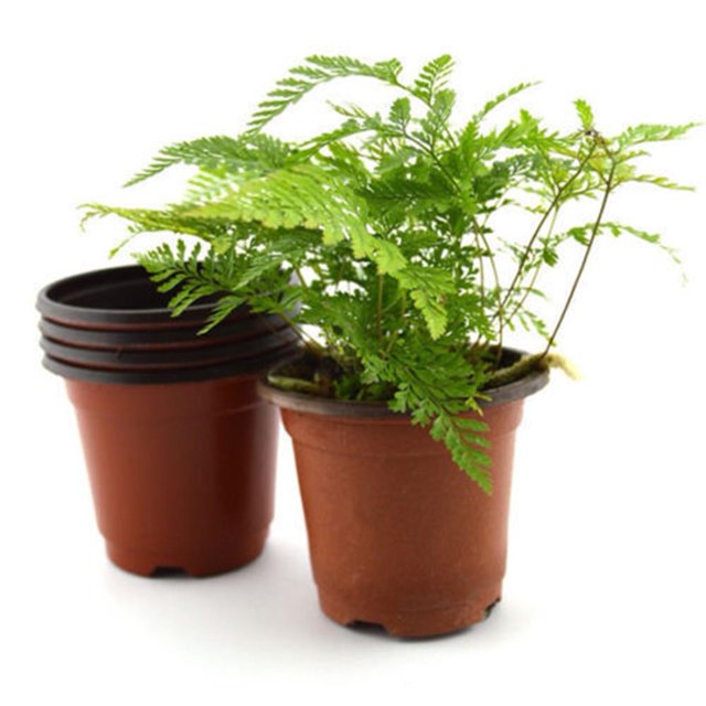 Flmtop 10 Pcs Petits Pots de Fleurs Ronds en Plastique Terracotta Jardinière Décoration Maison