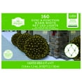 160Count Warm White LED Net Lights with 8 Sync Lighting Functions, 24