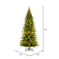 thumbnail image 2 of Vickerman 12' x 65" Balsam Spruce Slim Artificial Christmas Tree, 3mm LED Color Changing Lights, 2 of 2