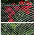 thumbnail image 5 of Heavy Duty Anti Bird Netting ,Nylon Deer Fence Netting, Garden Net and Crops Protective Fencing Mesh for Anti Bird Deer Cat Dog (2cmx2cm cell,1mx5m), 5 of 7