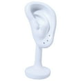 thumbnail image 5 of Resin Ear Model Earring Rack Holder Ear Stud Organizer Simulation Ear Stand White, 5 of 7