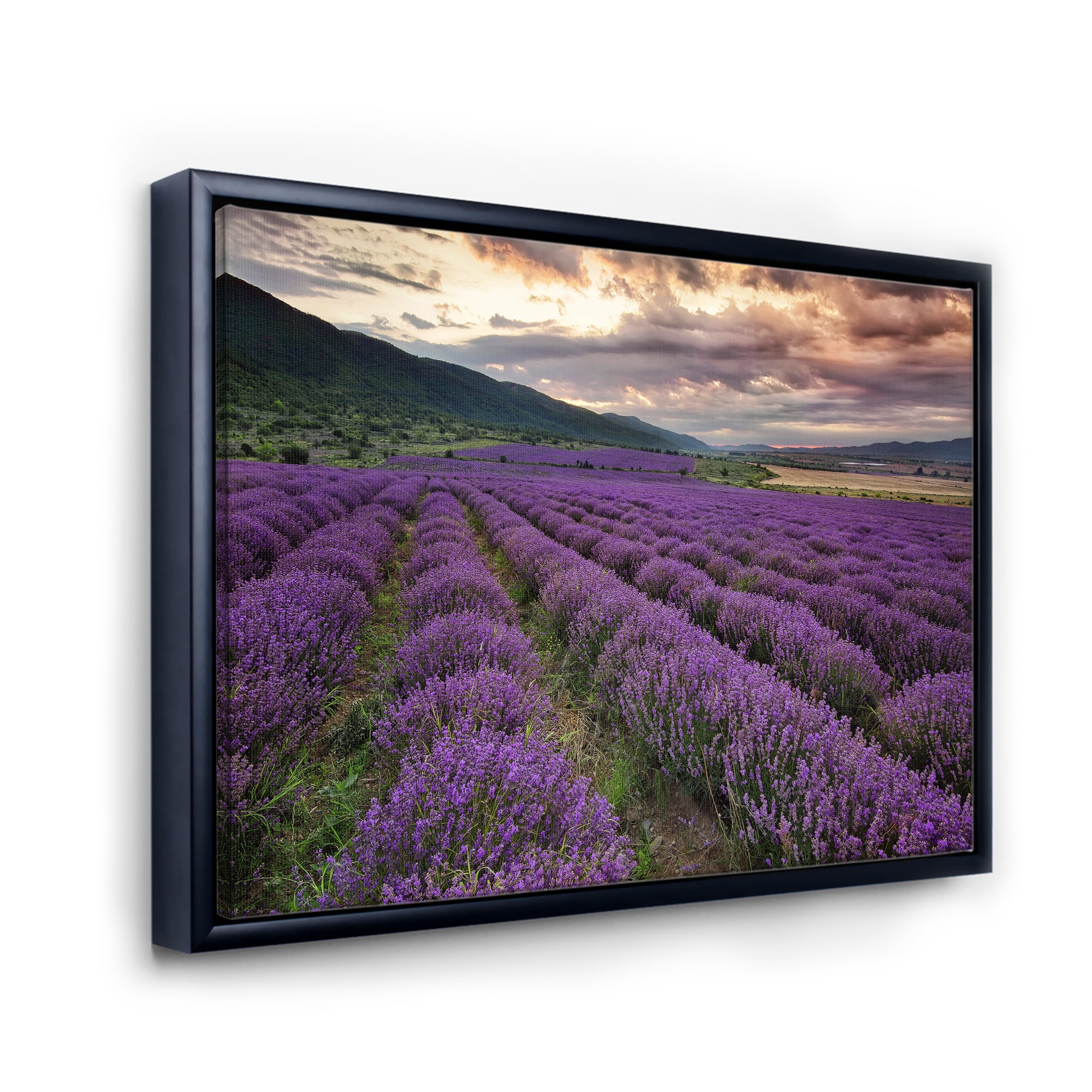 Designart 'Lavender Field At Sunrise I' Farmhouse Framed Canvas Wall Art Print