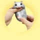 thumbnail image 3 of Decompression Toy Cute Little Hamster Vents Pressure To Relieve Pressure Pinch Music Decompression Vent, 3 of 3