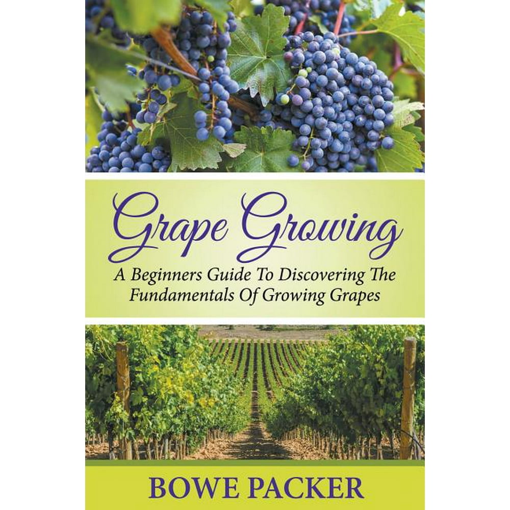 Grape Growing A Beginners Guide to Discovering the Fundamentals of