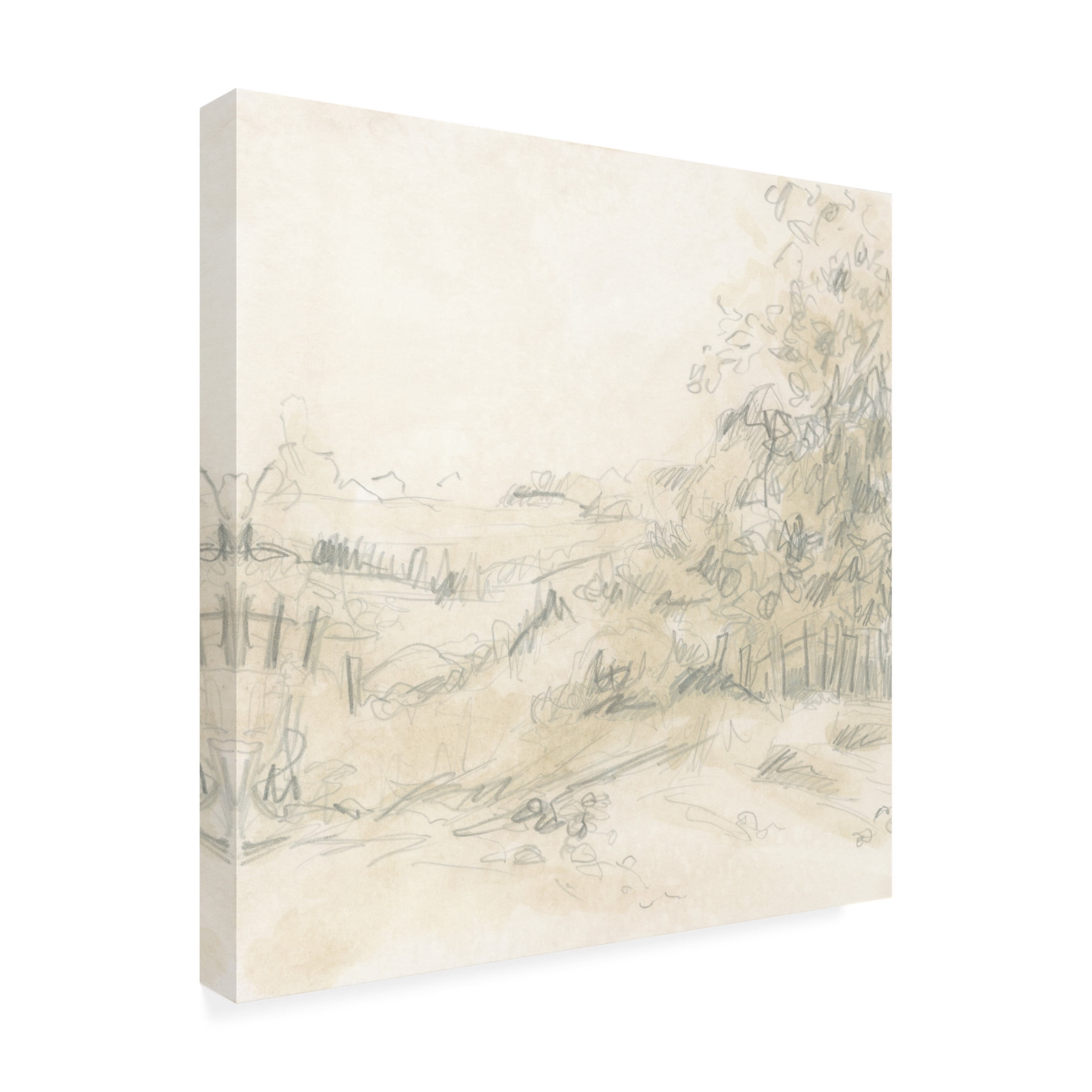 Trademark Fine Art June Erica Vess Parchment Field Study II Canvas Wall Art