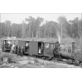 thumbnail image 1 of 24"x36" Gallery Poster, Excursion logging train, Harbor Springs, Michigan 1906, 1 of 1