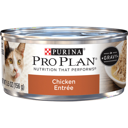 (24 Pack) Purina Pro Plan Gravy Wet Cat Food, Chicken Entree, 5.5 oz. Cans