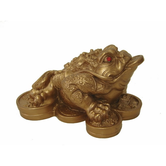 Golden Money Frog