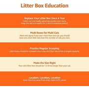 Large Cat Litter Box with High Sides, Open Top for Easy Access, Includes Scoop with Storage, 19