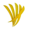 thumbnail image 1 of Maoww 12 Pieces Archery Hunting Arrow Feather Fletching Right Wing Fletches 4 inch Yellow, 1 of 9