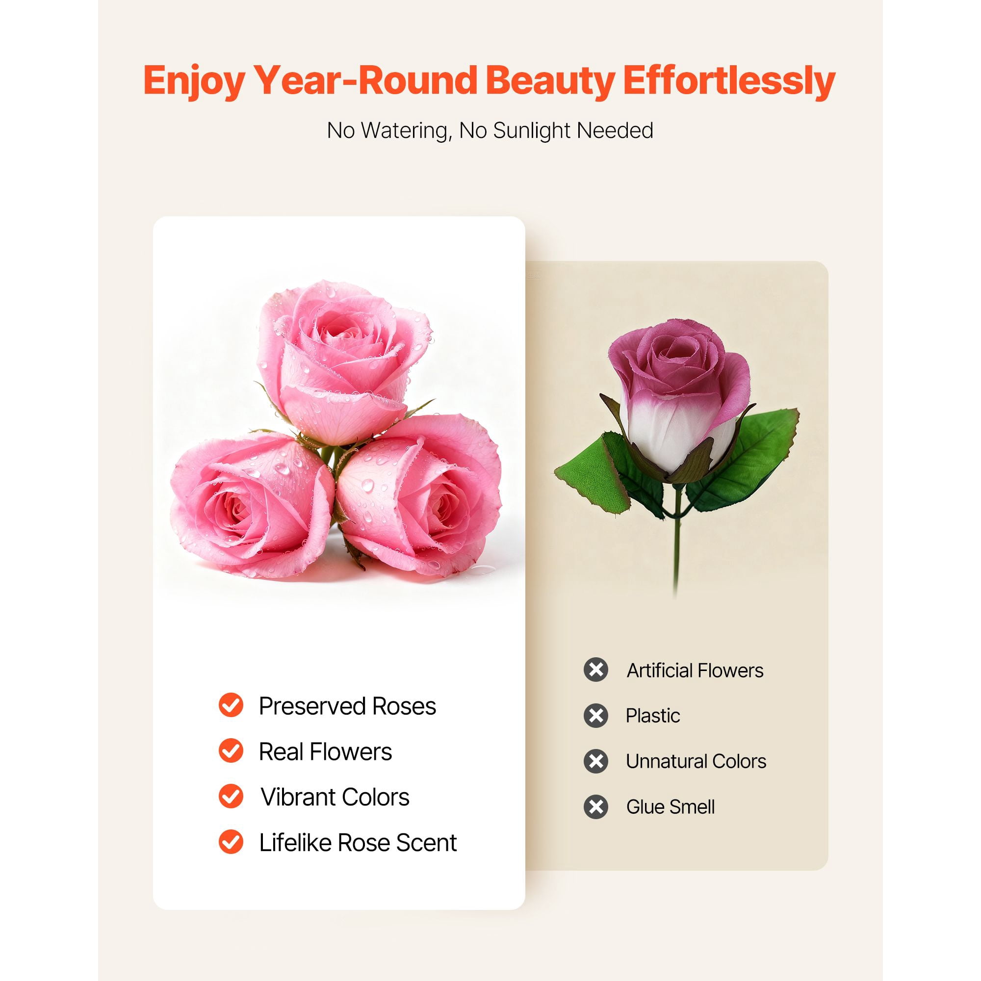Preserved Roses 50 Real Roses in Round Box Lasts Up to 3 Years No Watering Needed Light Rose Fragrance Clear Top for Decor