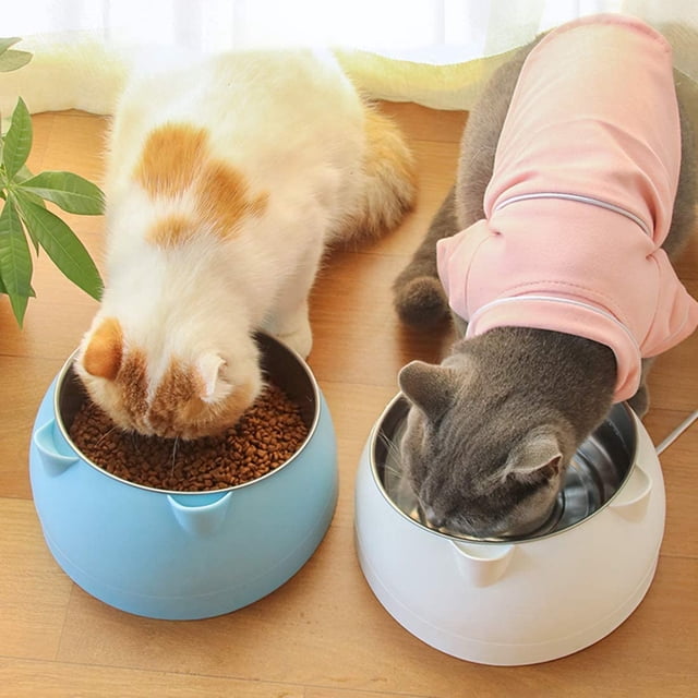 Cuenco para gatos, cuenco inclinado para gatos, cuenco inclinado para gatos con plataforma de 15 °, cuenco para perros pequeños, cuenco antideslizante para gatos y perros, cuenco elevado e inclinado