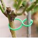 thumbnail image 4 of 100 piezas de soporte para plantas, clips de jardín, enrejado para tomate vegetal de vid para crecer, herramienta de soporte vertical para plantas de jardín, 11 Feliz Sencillez, 4 of 5