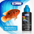 thumbnail image 2 of Acriflavina 30 ml Lomas 30 ml, 2 of 2