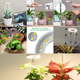 thumbnail image 3 of Luz LED de espectro completo similar al sol para el crecimiento de plantas en interiores, luz de relleno telescópica para plantas verdes carnosas y flores para interiores, 3 of 4