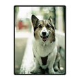 thumbnail image 1 of RYLABLUE Husky Blanket Couverture polaire pour canapé ou lit 58 x 80 pouces, 1 of 3
