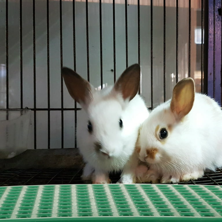 2 Pieces Pets Rabbit Cage Accessories Bunny Cage Liner Pet Cage Base Pad Bunny Leaky Board Cage Mat Pad Rabbit Cage Leaky Board Bed Linings Plastic Walmart