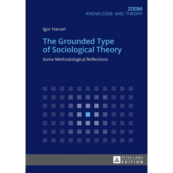 Zoom: The Grounded Type of Sociological Theory (Paperback)
