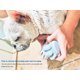 thumbnail image 4 of Cepillo de baño para perros, cepillo de champú para mascotas para masaje relajante y lavado Sincero Electrónica, 4 of 5