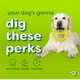 thumbnail image 5 of Benebone Essentials Tug, 5 of 7