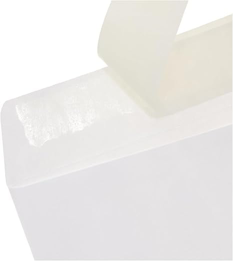 Catalog Mailing Envelopes, Self-Seal,10x13 Inches, Pack of 100, White