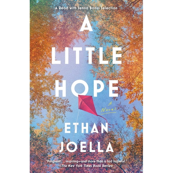 Pre-Owned A Little Hope (Paperback) 1982171200 9781982171209