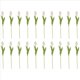 thumbnail image 2 of 20 Piezas Blancas 13.8 Pulgadas Flores de Tulipanes Artificiales para la DecoracióN Del Partido, Hogar Boda, 2 of 5