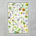 thumbnail image 2 of Virginia Wildflowers Poster - Native Grassland Blooms - Educational Science Chart of Virginia Flowers, 2 of 5