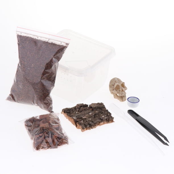 Caja de cría de plástico Colco para incubar Decoración de jaula Reparium Vivarium Terrarium