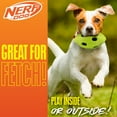 thumbnail image 3 of Nerf Dog TPR Bash Crinkle & Squeak Football Dog Toy, 6 inch, 3 of 10