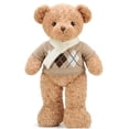 thumbnail image 2 of Bufanda, suéter, oso de peluche, muñeco, juguete de peluche, regalo de cumpleaños para niñoshen50cm 0.5kg Fivean unisex, 2 of 2