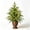 Spruce:2 ft, variant on Clearance Artificial Norfolk Pine Christmas Tree, 4FT Fake Potted Tree Faux Plant with LED for Front Door Indoor Outdoor Porch Room Office Holiday Home Xmas Decor
