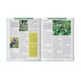 thumbnail image 7 of The Forgotten Guide to Plant Remedies, 7 of 7