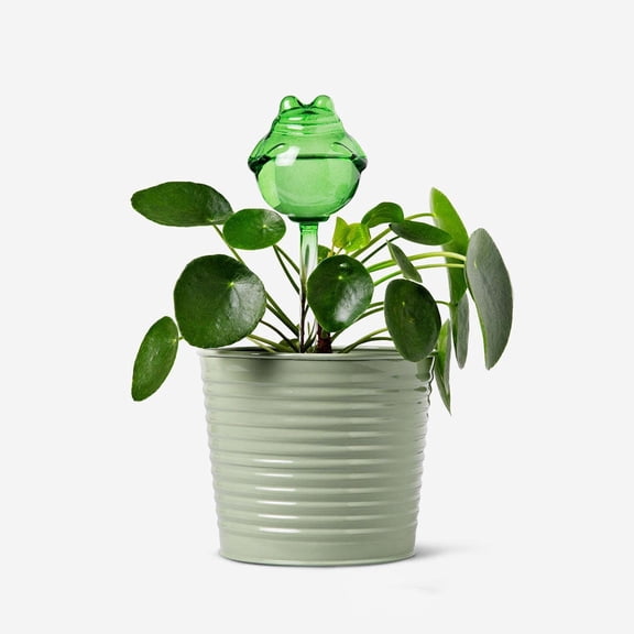 RKSTN Plant Watering Globes Glass Self-Watering Stakes Frog Shaped Water Bulbs Automatic Irrigation Device for Indoor Outdoor Plants