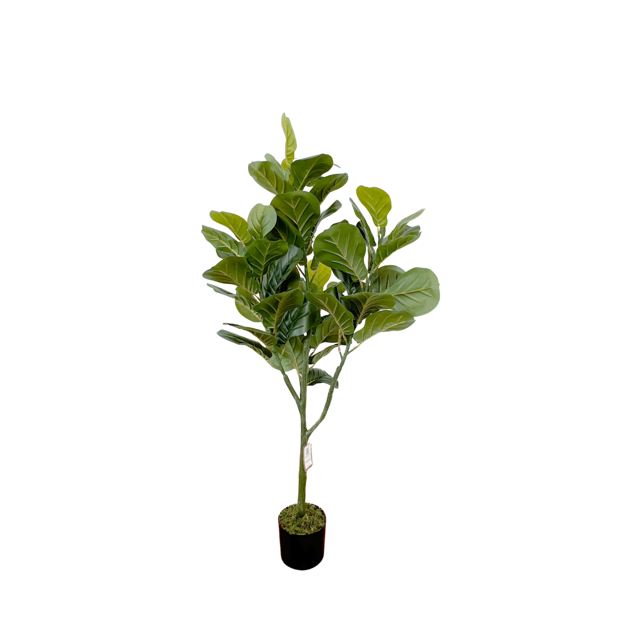 Árbol De Pandurata DECO PVC Planta Artificial Realista 1.2m