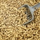 thumbnail image 3 of Pellets de Arena para Gatos de Madera de Pino Natural No Aglomerante Casual Home, 3 of 9