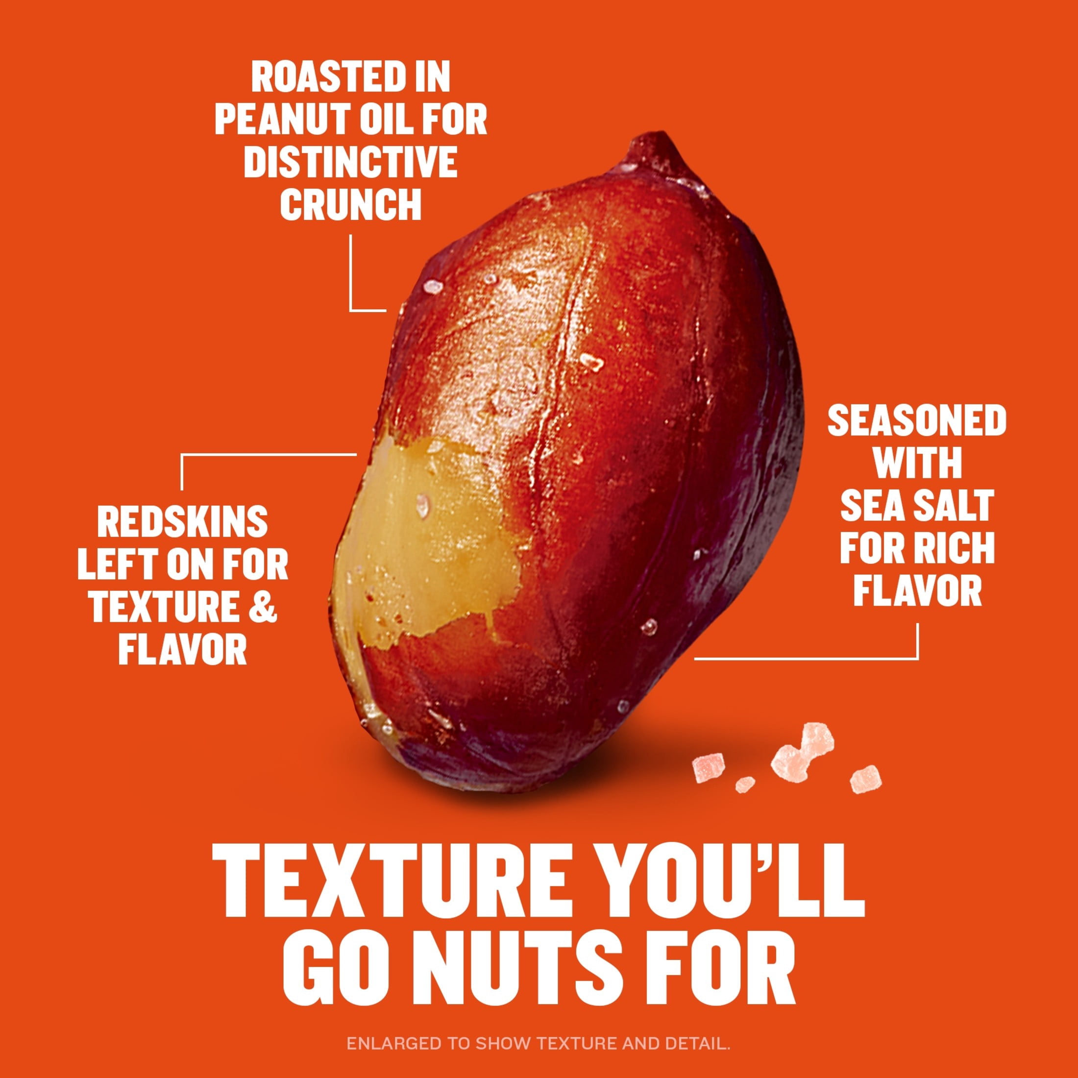 Planters Spanish Salted Peanuts with Redskins, 7g Protein (8% DV) per serving, Plant Based Protein Snacks for Adults, 12.5 oz Resealable Canister