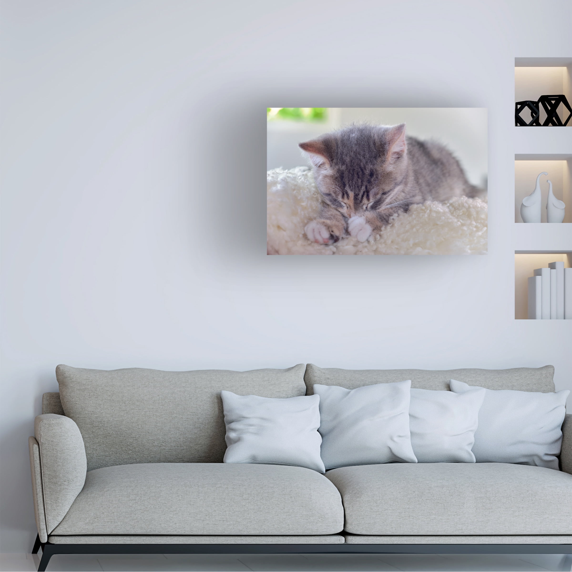 Cora Niele 'Sleeping Kitten' Canvas Art