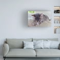 thumbnail image 3 of Cora Niele 'Sleeping Kitten' Canvas Art, 3 of 3