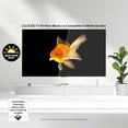 thumbnail image 6 of LG OLED77C5PUA 77 Inch 4K OLED Ultra HD Smart TV with 4 Year Amber Protection Plan (2025), 6 of 9