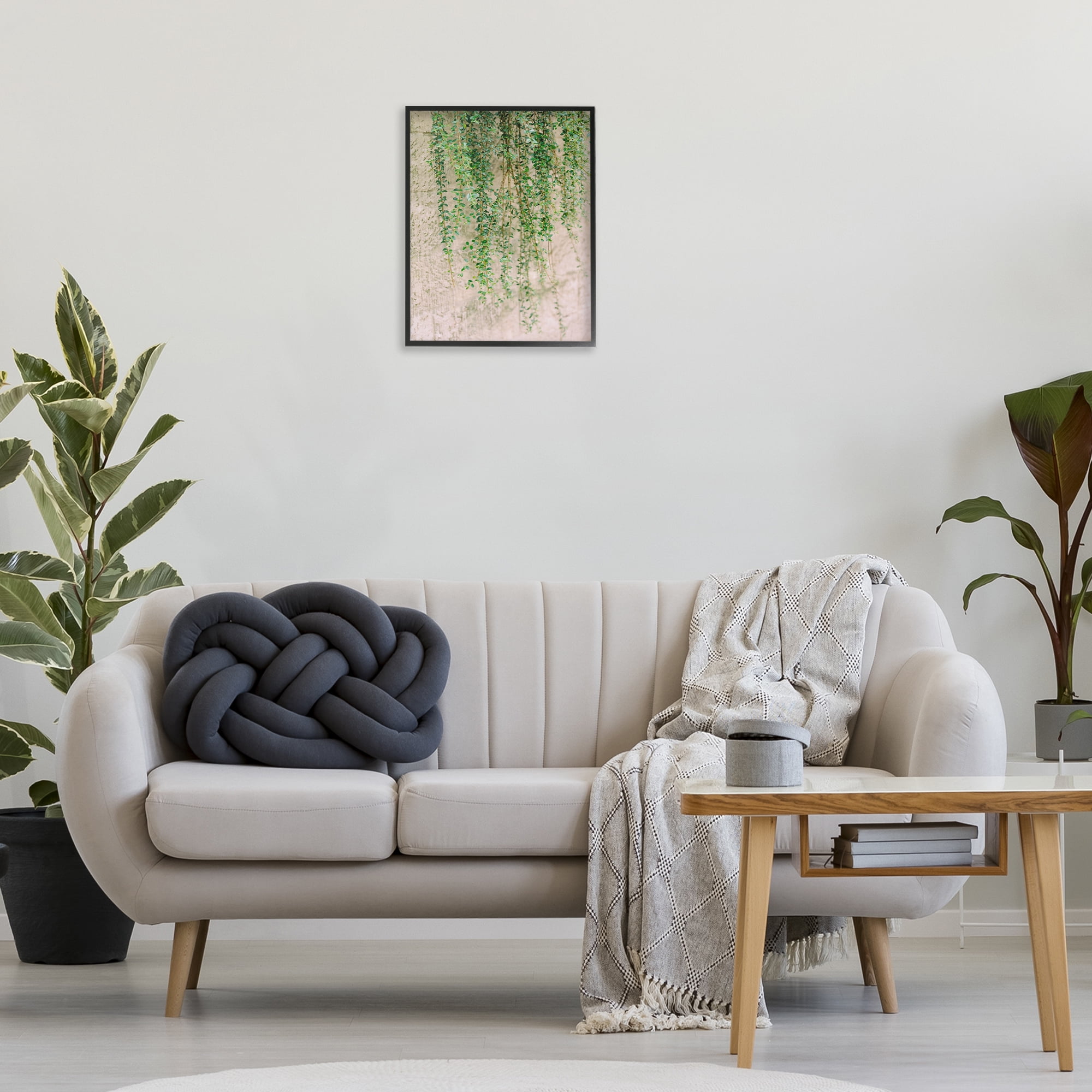 Stupell Industries Hanging Ivy Vines Botanical & Floral Photography Black Framed Art Print Wall Art, 16 x 20