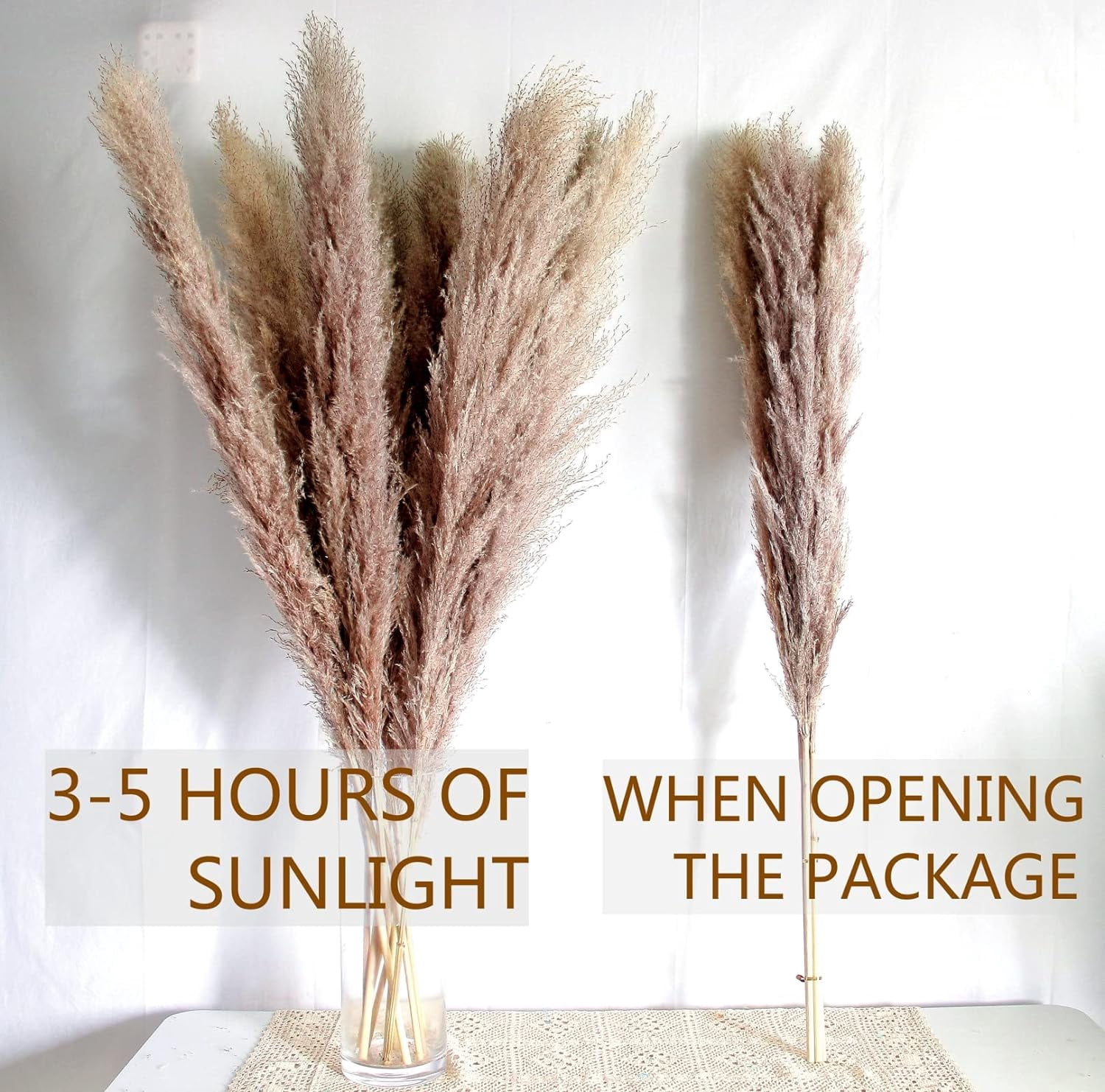 46" inch 10 Stems Natural Pampas Grass Decor Tall, Pompas Grass, Tall Pampas Grass for Weddingm, Farmhouse,  Home Decor (Grey)