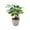 #0722-Green*A, variant on Cheapark Artificial Money Tree Bonsai Faux Floral Potted Decor lucky themed faux bonsai for living room entryway office elegant indoor home decorative potted ornament Gift