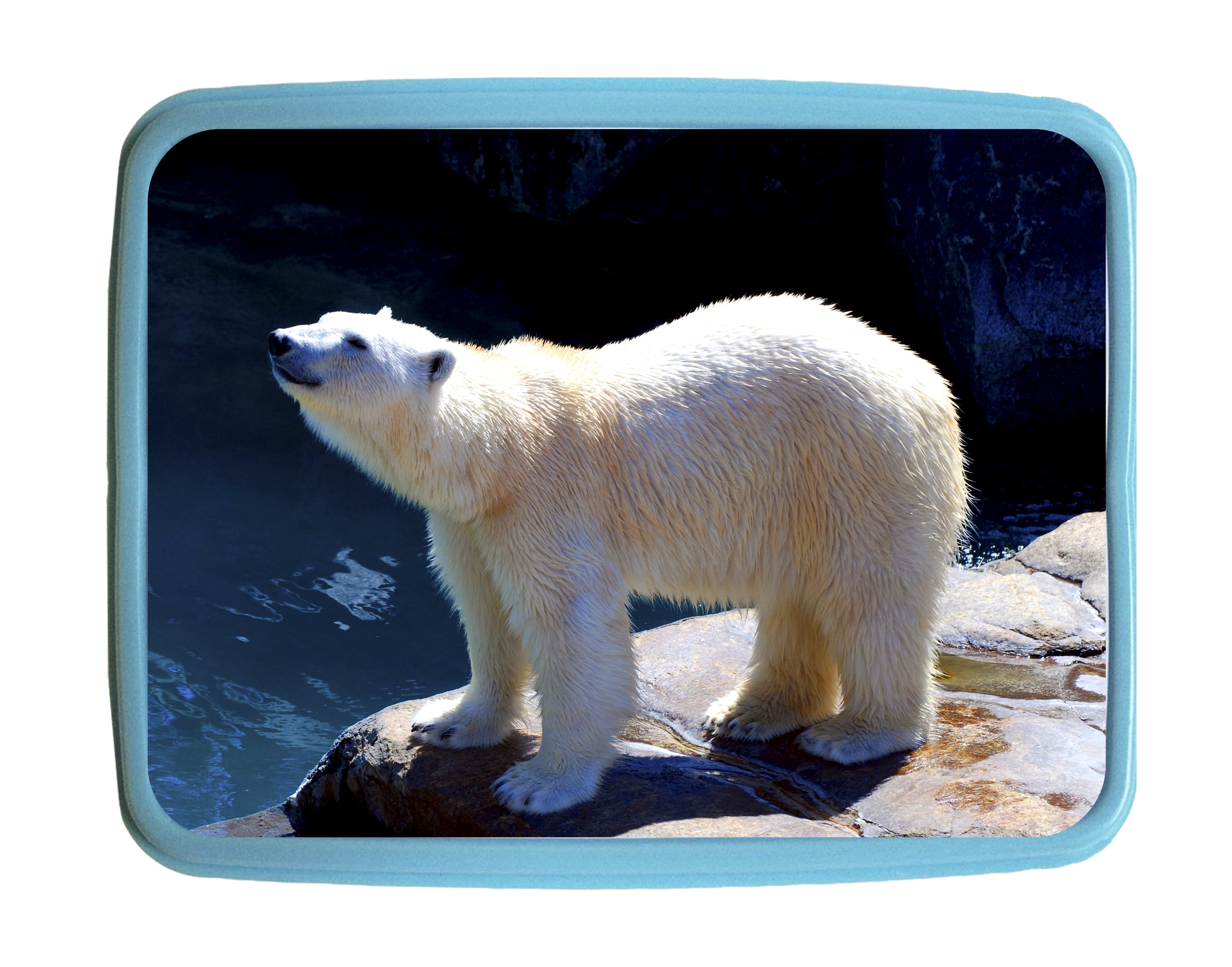 polar lunch box
