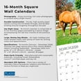 thumbnail image 6 of Magnificent Horses | 2026 12x24" (Hanging) Monthly Square Wall Calendar | Plato, 6 of 9