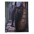 thumbnail image 3 of Brush With Magick Black Cat With Pentagram Broom Wood Framed Canvas Wall Decor, 3 of 5