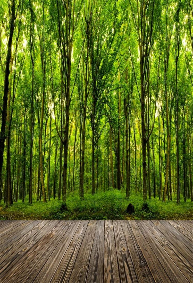 GoEoo Vinyl 7X5FT Spring Backdrop Jungle Forest Backdrops Trees Green Grass Meadow Fresh Flowers Nature Photography Background for Kids Adults Outdoor Picnic and Hiking Photo Studio Props GoEoo Vinyl 7X5FT Spring Backdrop Jungle Forest Backdrops Trees Green Grass Meadow Fresh Flowers Nature Photography Background for Kids Adults Outdoor Picnic and Hiking Photo Studio Props