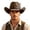 Brown, variant on Western Cowboy Hat for Men Women Cowboy Cowgirl Hat Outdoor Wide Brim Retro Felt Fedora Hats Unisex Rolled up Caps